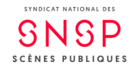 snsp logo